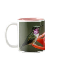 Lucifer Hummingbird Mug, left-handled