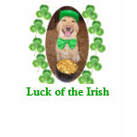 Luck of the Irish t-shirts