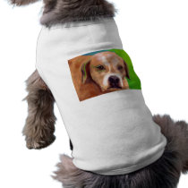 Lucks' Wiley pet clothing by myspecialpainting Lucks' Wiley pet clothing