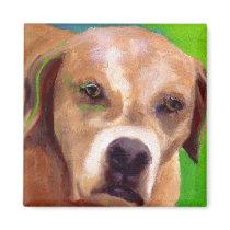 Lucks' Wiley magnets by myspecialpainting Lucks' Wiley magnets