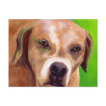 Lucks' Wiley postcards by myspecialpainting Lucks' Wiley postcards