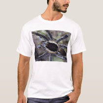 lucky7 t-shirts