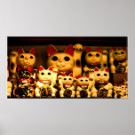 Lucky Beconing Kitty Print
