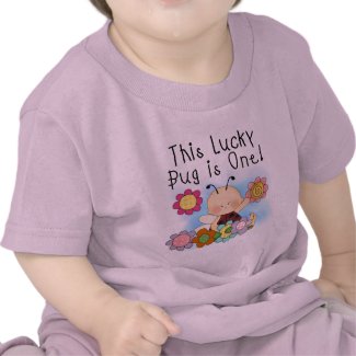 Lucky Bug 1st Birthday T-shirts and Gifts shirt