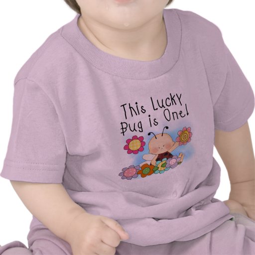 Lucky Bug 1st Birthday T-shirts and Gifts