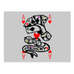 Lucky Cards Post Cards