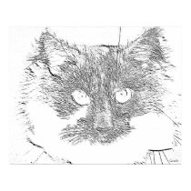 lucky cat posters by abadu44 lucky cat posters