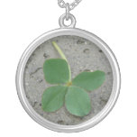 lucky charm, four leaf clover, irish, luck, lucky,