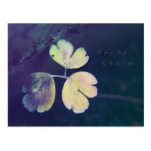 Lucky Charm Postcard