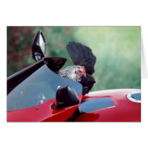 Lucky Chicken cards by SecondChanceRanch Lucky Chicken cards