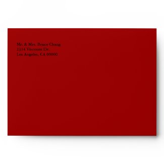 Lucky Chinese New Year Envelope envelope