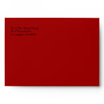Lucky Chinese New Year Envelope