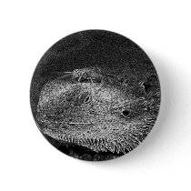 Lucky Cricket Button by buffaloworks Lucky Cricket Button