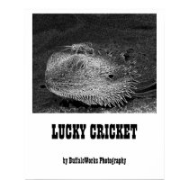 Lucky Cricket Poster poster