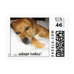 Lucky dog -  Adopt a dog today stamp - mutt stamps