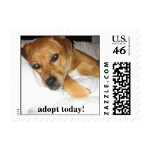 Lucky dog -  Adopt a dog today stamp - mutt