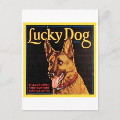 Lucky Dog Vintage Crate Label Post Card