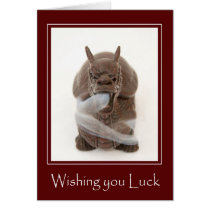 Lucky Dragon Card