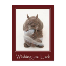 Lucky Dragon Post Card
