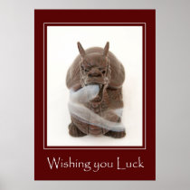 Lucky Dragon Poster