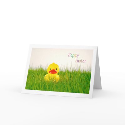 Duck Cards