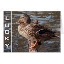 lucky duck celebration card