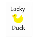 Lucky Duck Postcards