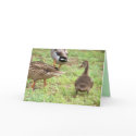 Lucky ducky Congrats cards by KatAnnette Lucky ducky Congrats cards