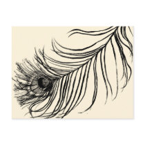 LUCKY FEATHER ★ postcards by TheLoveShop LUCKY FEATHER ★ postcards