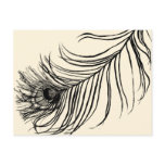 LUCKY FEATHER ★ POSTCARD