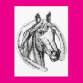 Lucky Horse Postcard Lucky Horse Postcard