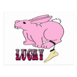 Lucky Human Foot Postcard