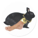 Lucky Human's Foot Stickers by funnybunnies Lucky Human's Foot Stickers