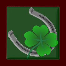 Lucky Irish Magnet Shirt St. Patrick's Home Decor magnets