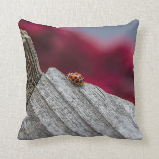 Lady Bug Pillows - Decorative & Throw Pillows Zazzle
