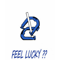 Lucky Lady Scoop Tee t-shirts