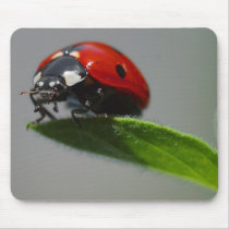 Lucky Ladybug Lovers gifts Mouse Mats