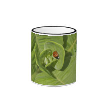 Lucky Ladybug Mug