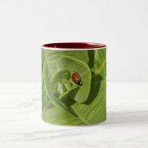 Lucky Ladybug Mug