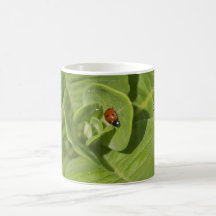 Lucky Ladybug Mug