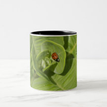 Lucky Ladybug Mug