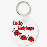Lucky Little Ladybugs