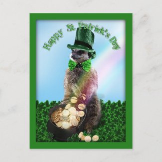 Lucky Meerkat postcard