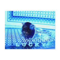 "LUCKY!" Postcard