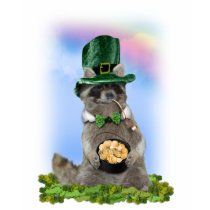 Lucky Raccoon t-shirts by gravityx9 Lucky Raccoon t-shirts