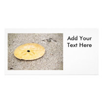 Lucky Sand Dollar Personalized Photo Card