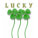 lucky shirt