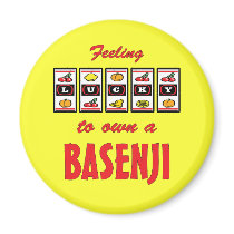 Lucky to Own a Basenji Fun Dog Design Refrigerator Magnets