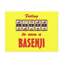 Lucky to Own a Basenji Fun Dog Design Postcards