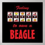Lucky to Own a Beagle Fun Dog Design Posters